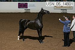 usn_05_14801 proof