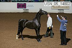 usn_05_14802 proof