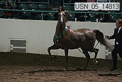 usn_05_14813 proof