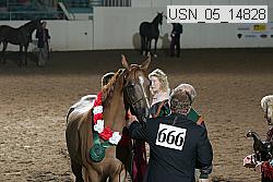usn_05_14828 proof