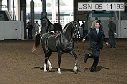 usn_05_11193 proof