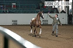 usn_05_11194 proof