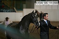 usn_05_11208 proof