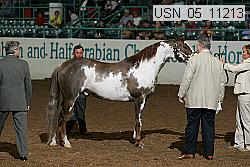 usn_05_11213 proof