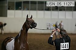 usn_05_11271 proof