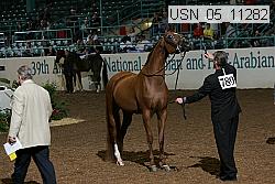 usn_05_11282 proof