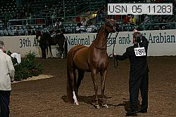 usn_05_11283 proof