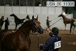 usn_05_11305 proof