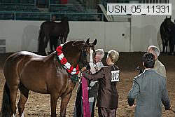 usn_05_11331 proof