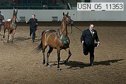 usn_05_11353 proof