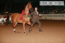 usn_05_11357 proof