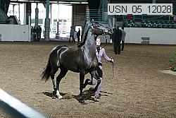 usn_05_12028 proof