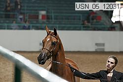 usn_05_12031 proof