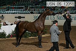usn_05_12058 proof