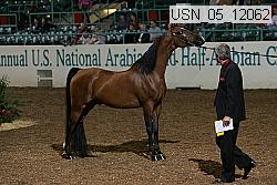 usn_05_12062 proof