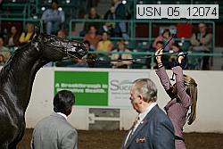 usn_05_12074 proof