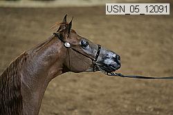 usn_05_12091 proof