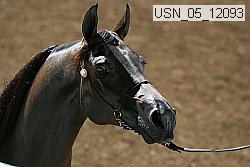 usn_05_12093 proof