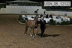 usn_05_12122 proof