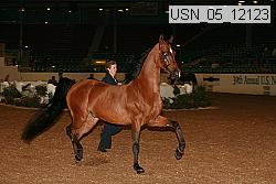 usn_05_12123 proof