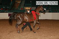 usn_05_12129 proof