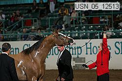 usn_05_12513 proof