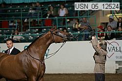 usn_05_12524 proof