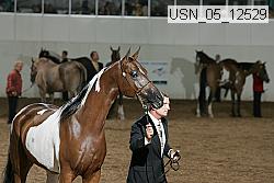 usn_05_12529 proof