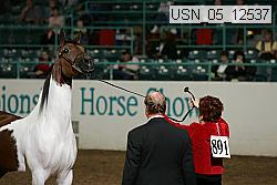 usn_05_12537 proof
