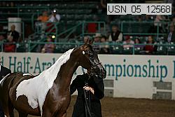 usn_05_12568 proof