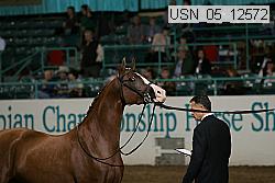 usn_05_12572 proof