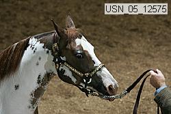 usn_05_12575 proof
