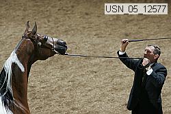 usn_05_12577 proof