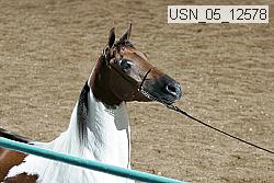 usn_05_12578 proof