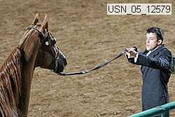 usn_05_12579 proof