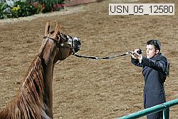 usn_05_12580 proof