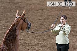 usn_05_12581 proof