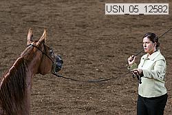 usn_05_12582 proof