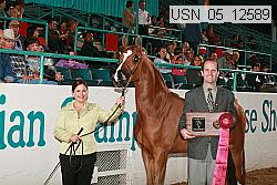 usn_05_12589 proof