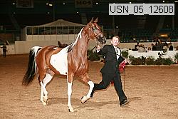 usn_05_12608 proof