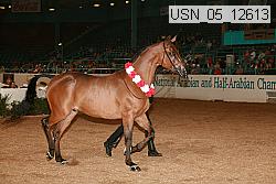 usn_05_12613 proof