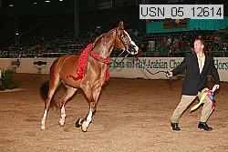 usn_05_12614 proof