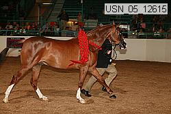usn_05_12615 proof