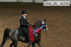 usn_05_18295 proof