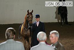 usn_05_31035 proof