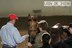 usn_05_31036 proof