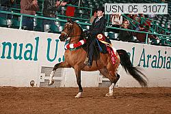 usn_05_31077 proof
