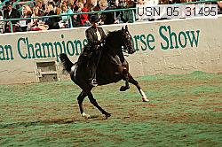 usn_05_31495 proof