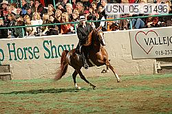 usn_05_31496 proof