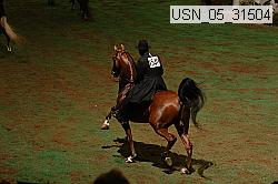 usn_05_31504 proof